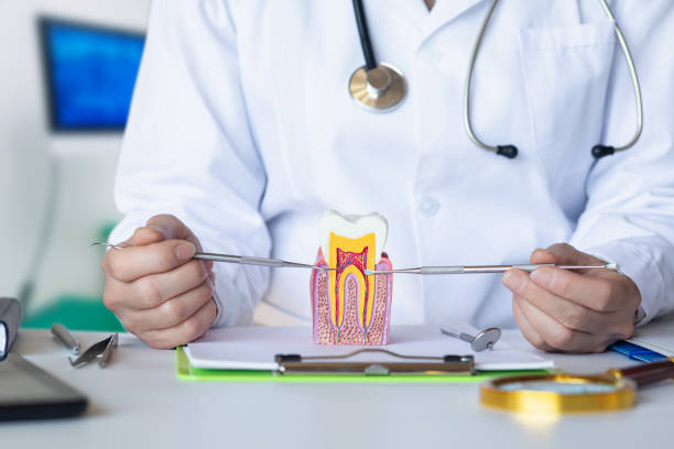 Best Pediatric Emergency Dentist in Glenarden, MD